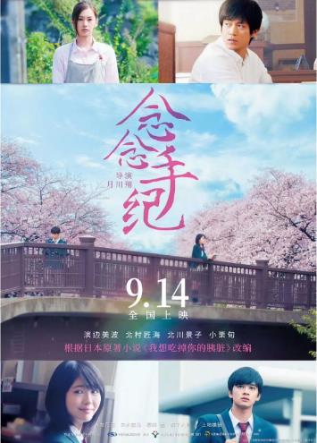 念念手纪