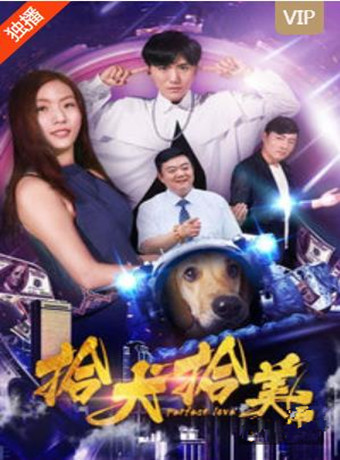 拾犬拾美