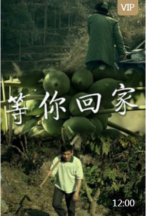 等你回家