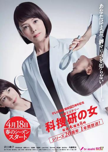 科搜研之女第19季