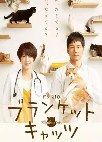 毛毯猫