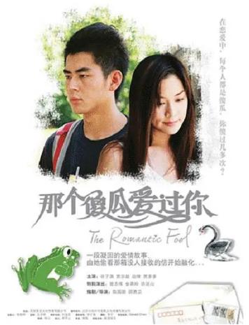 那个傻瓜爱过你