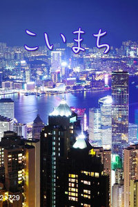 多情城市