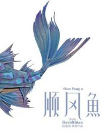 顺风鱼