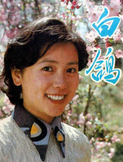 白鸽