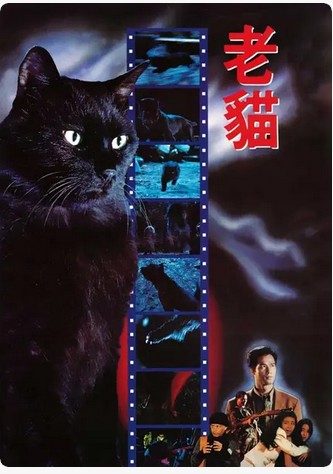 老猫