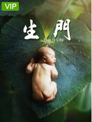 生门·纪实剧网络版
