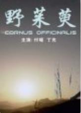 野茱萸