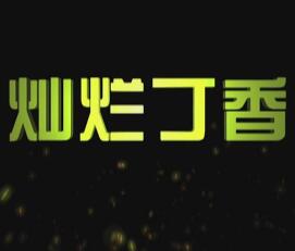 灿烂丁香