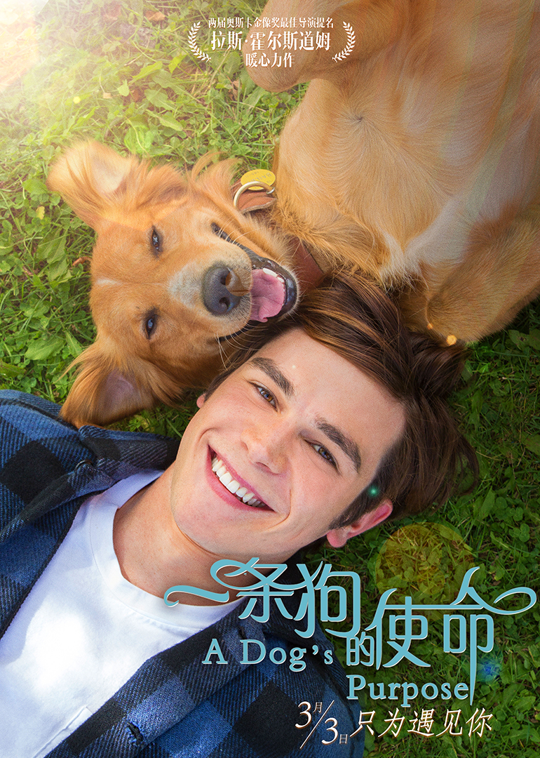 一条狗的使命(国语)
