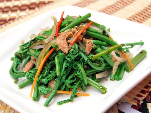 旅途奇缘(国语)