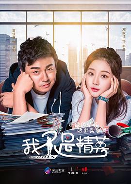 我不是精英DVD版