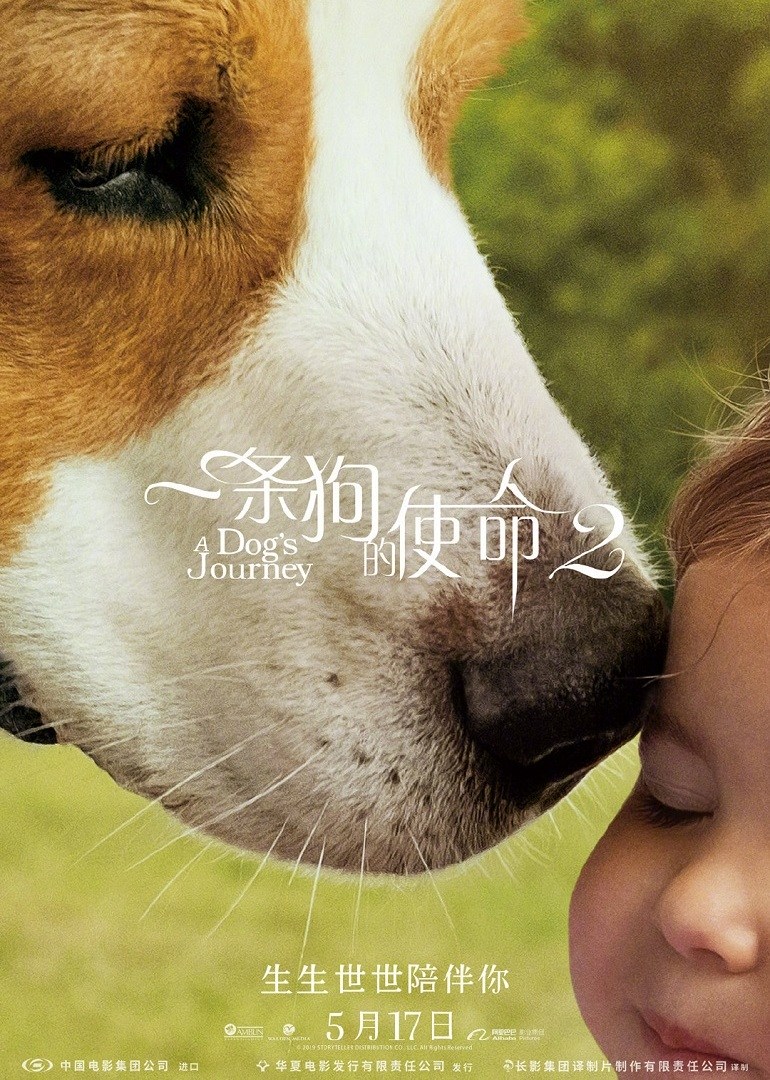 一条狗的使命2(国语)
