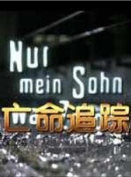 亡命追踪(国语)
