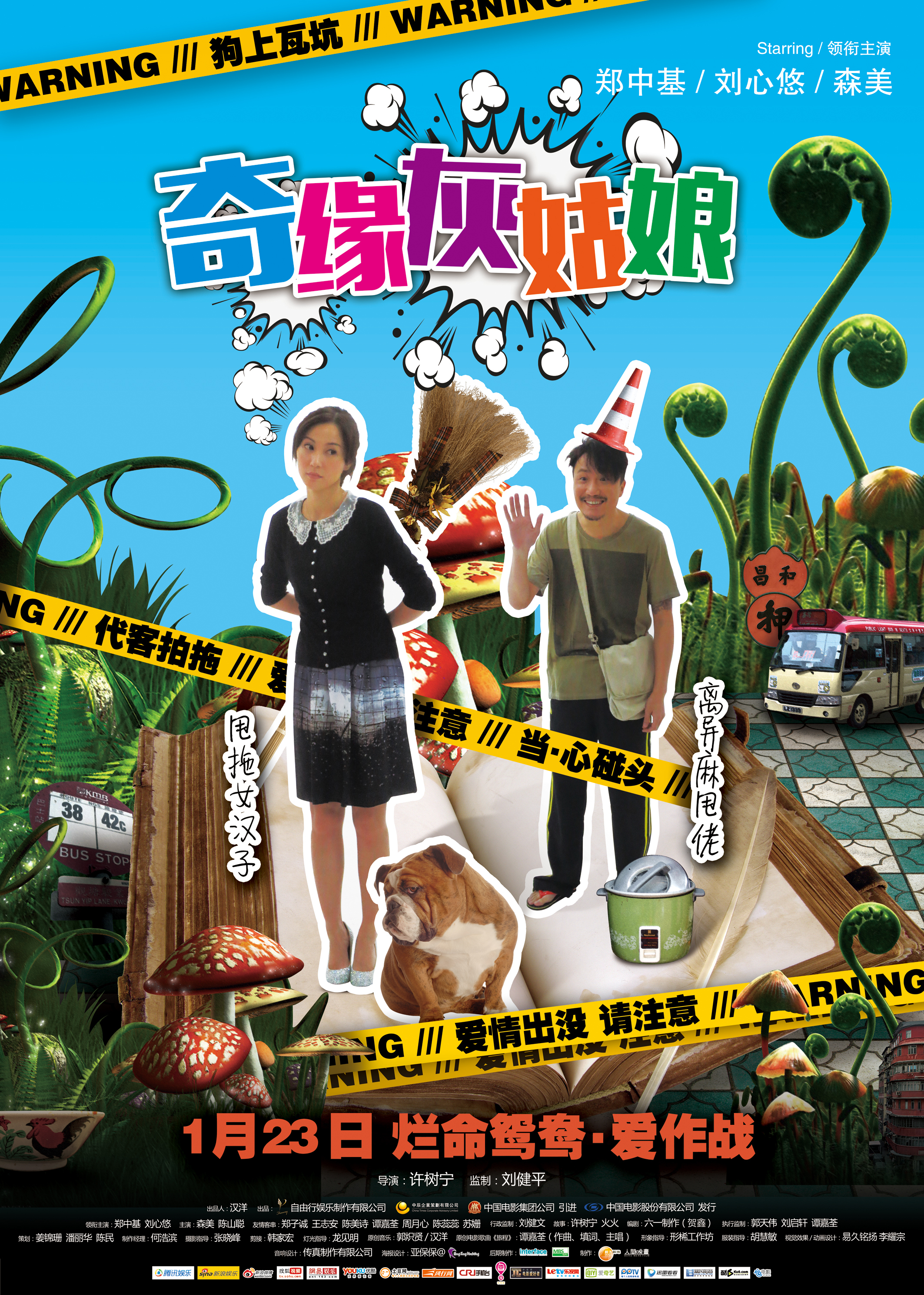 奇缘灰姑娘(国语)