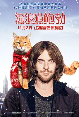 流浪猫鲍勃(国语)