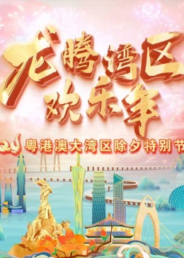  粤港澳大湾区除夕特别节目