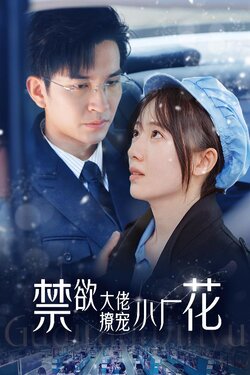 禁慾大佬撩寵小廠花
