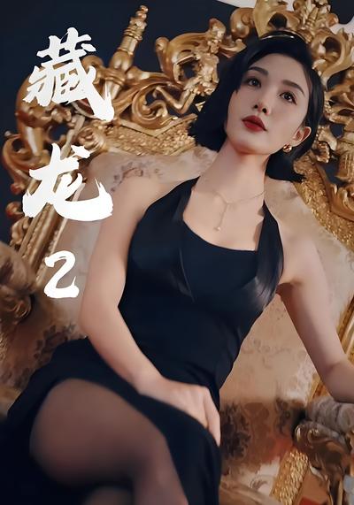 藏龍2