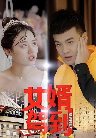 女婿駕到