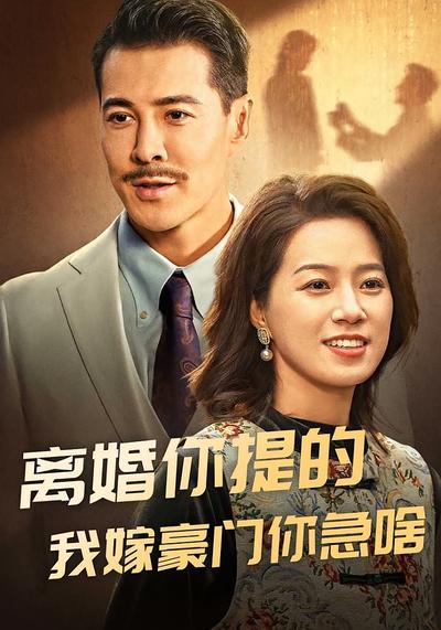 離婚你提的我嫁豪門你急啥