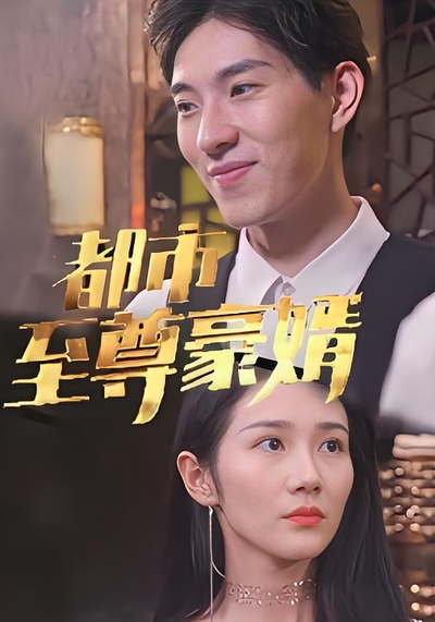 都市至尊豪婿