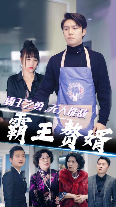 霸王贅婿