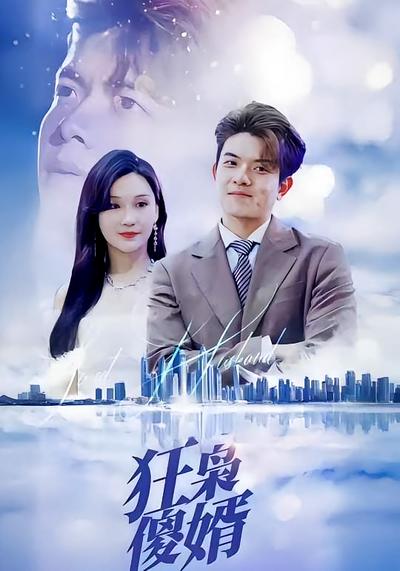 狂梟傻婿