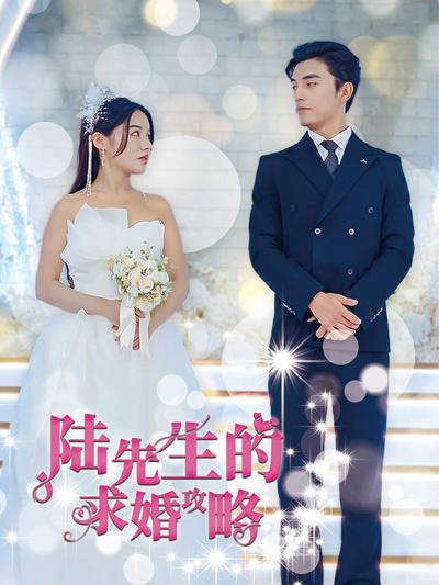 陸先生的求婚攻略