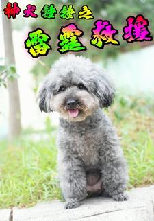 神犬錘錘之雷霆救援