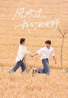 風吹過我們的田野
