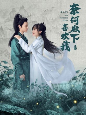 奈何殿下喜歡我第二季