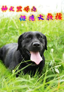神犬黑妹之極速大救援