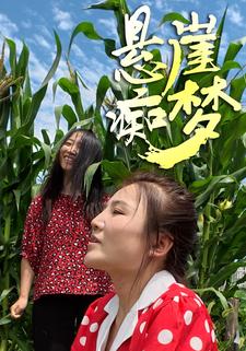 懸崖癡夢