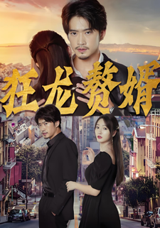 狂龍贅婿