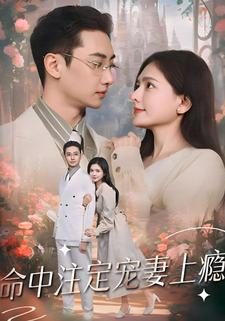 命中註定寵妻上癮