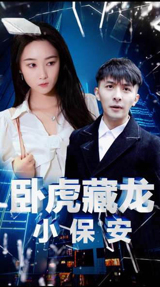 臥虎藏龍小保安
