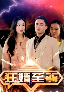 狂婿至尊