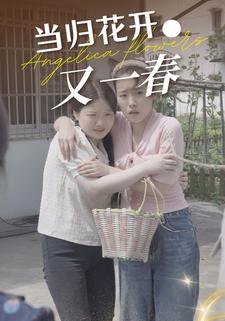 當歸花開又一春