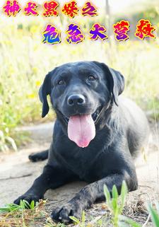 神犬黑妹之危急大營救