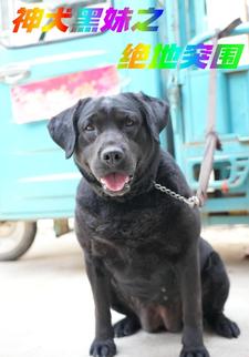 神犬黑妹之絕地突圍