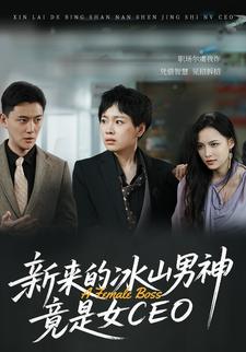 新來的冰山男神竟是女CEO