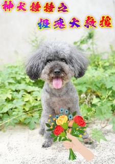 神犬錘錘之極速大救援