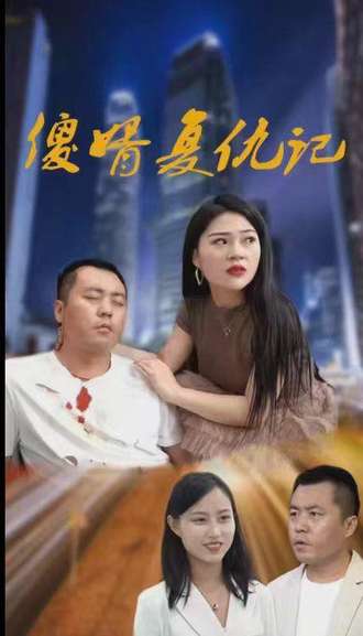 傻婿復仇記