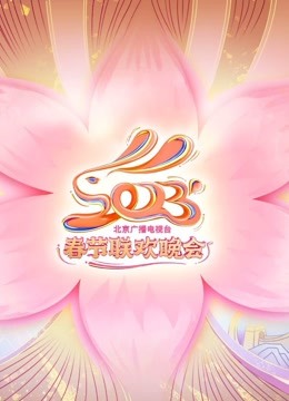  北京卫视春晚