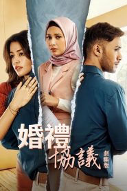 婚礼协议剧集版