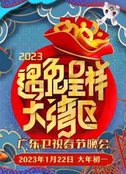  广东春节联欢晚会
