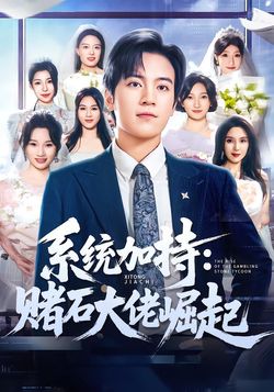 系統加持：賭石大佬崛起