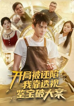 開局被誣陷，我靠透視鑑寶破大案
