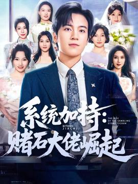 統加持：賭石大佬崛起